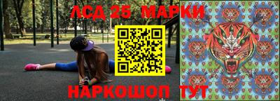 гидропоника Шебекино