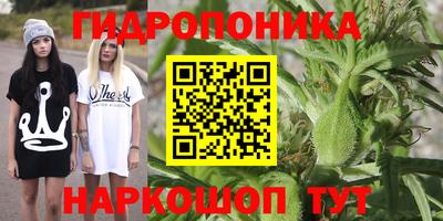 гидропоника Шебекино