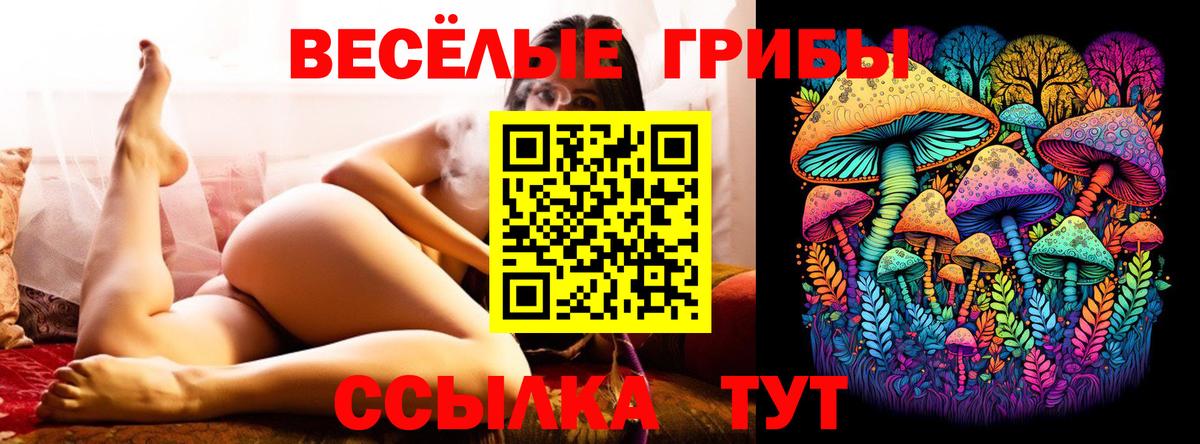 Галлюциногенные грибы GOLDEN TEACHER Мыски
